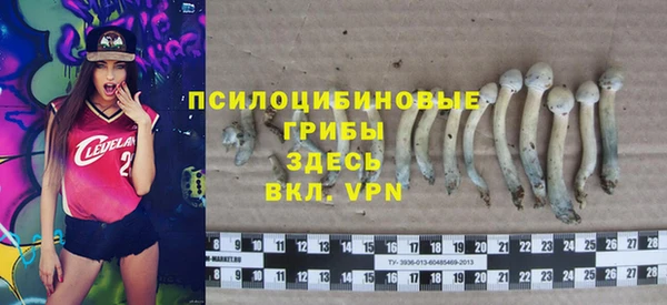 мет Алзамай