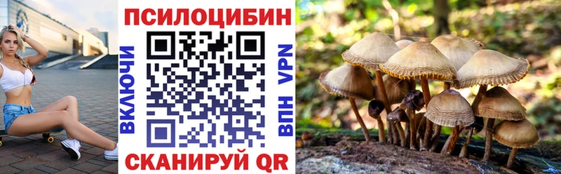 Галлюциногенные грибы Psilocybine cubensis  Топки 